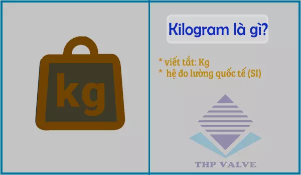 Pound to Kg? 1 pound bằng bao nhiêu kg?