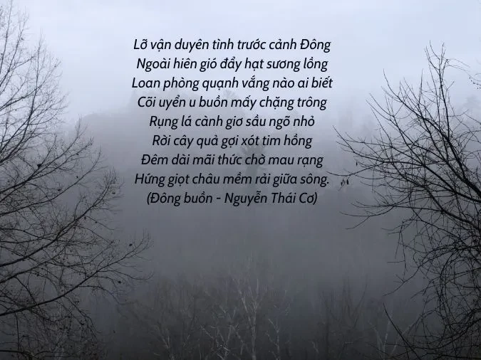 Cảm nhận tiết trời giá lạnh qua những bài thơ hay mùa đông