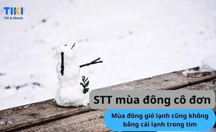 70+ STT mùa đông, CAP mùa đông thả thính, hài hước, những câu nói hay về mùa đông 