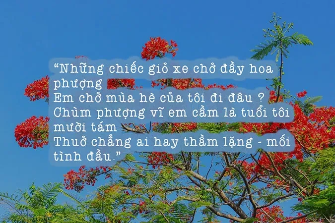 Tuyển tập thơ về mùa hè khiến ta bồi hồi với những ký ức xưa