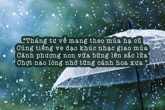 Tuyển tập thơ về mùa hè khiến ta bồi hồi với những ký ức xưa