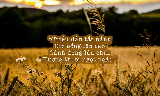 Tuyển tập thơ về mùa hè khiến ta bồi hồi với những ký ức xưa
