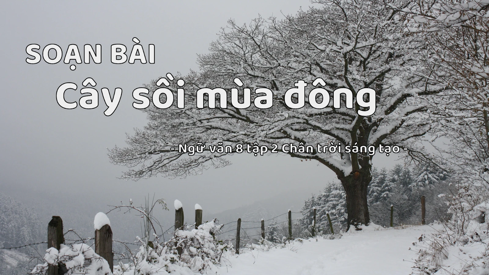 Soạn bài Cây sồi mùa đông | Văn 8 tập 2 Chân trời sáng tạo