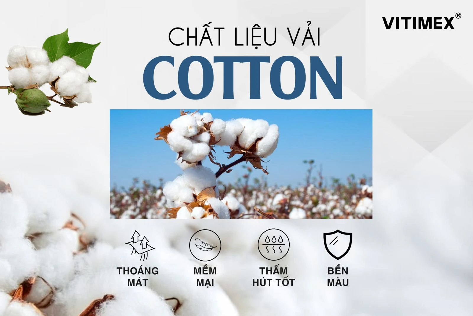 Quần âu nam, quần tây nam đẹp, chất lượng VITIMEX