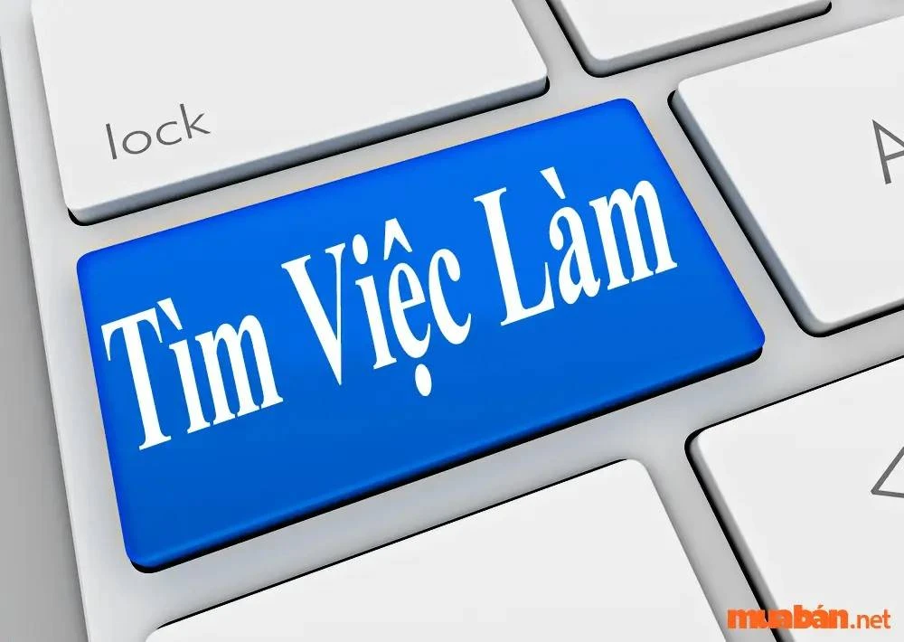 Tuyển Dụng, Tìm Việc Làm Quận 12 Lương Cao T11/2024