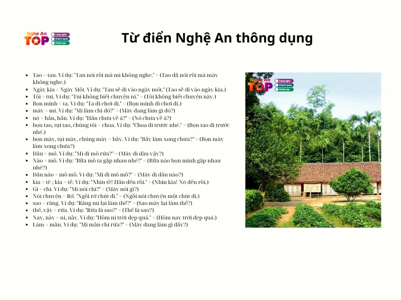 Tư điển tiếng Nghệ An: Học cách nói tiếng Nghệ địa phương chuẩn