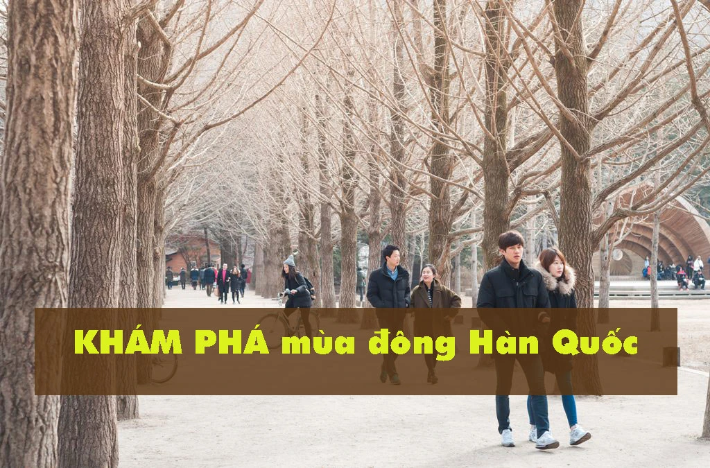 Mùa đông Hàn Quốc – Mùa đông “xứ kim chi” có gì đặc biệt?