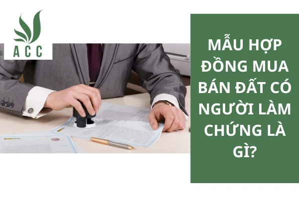 Mẫu hợp đồng mua bán đất có người làm chứng mới nhất