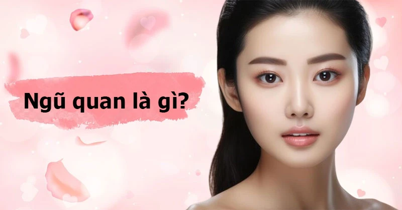 Ngũ quan là gì? Tướng ngũ quan phản ánh điều gì về bạn