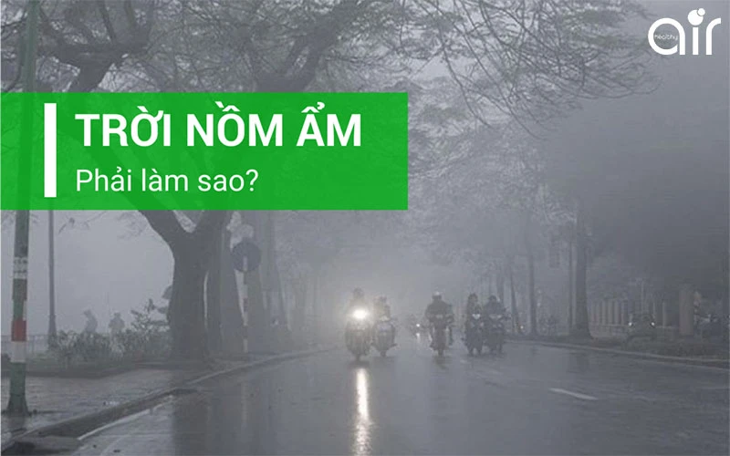 Nguyên nhân gây ra hiện tượng nồm ẩm ở miền Bắc là gì?