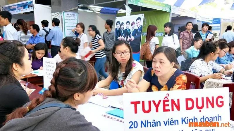 Tuyển Dụng, Tìm Việc Làm Bình Tân T11/2024