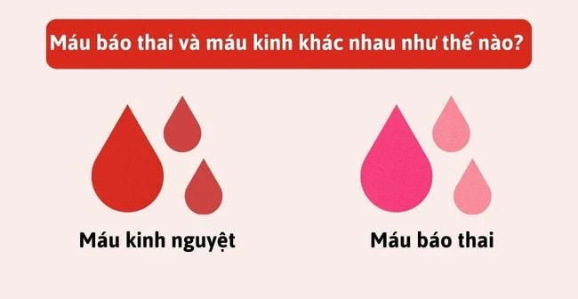 Máu báo thai là gì? Ra máu báo thai thử que được chưa?