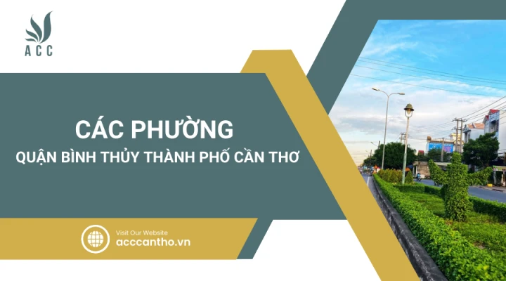 Chi tiết quận Bình Thuỷ Thành phố Cần Thơ