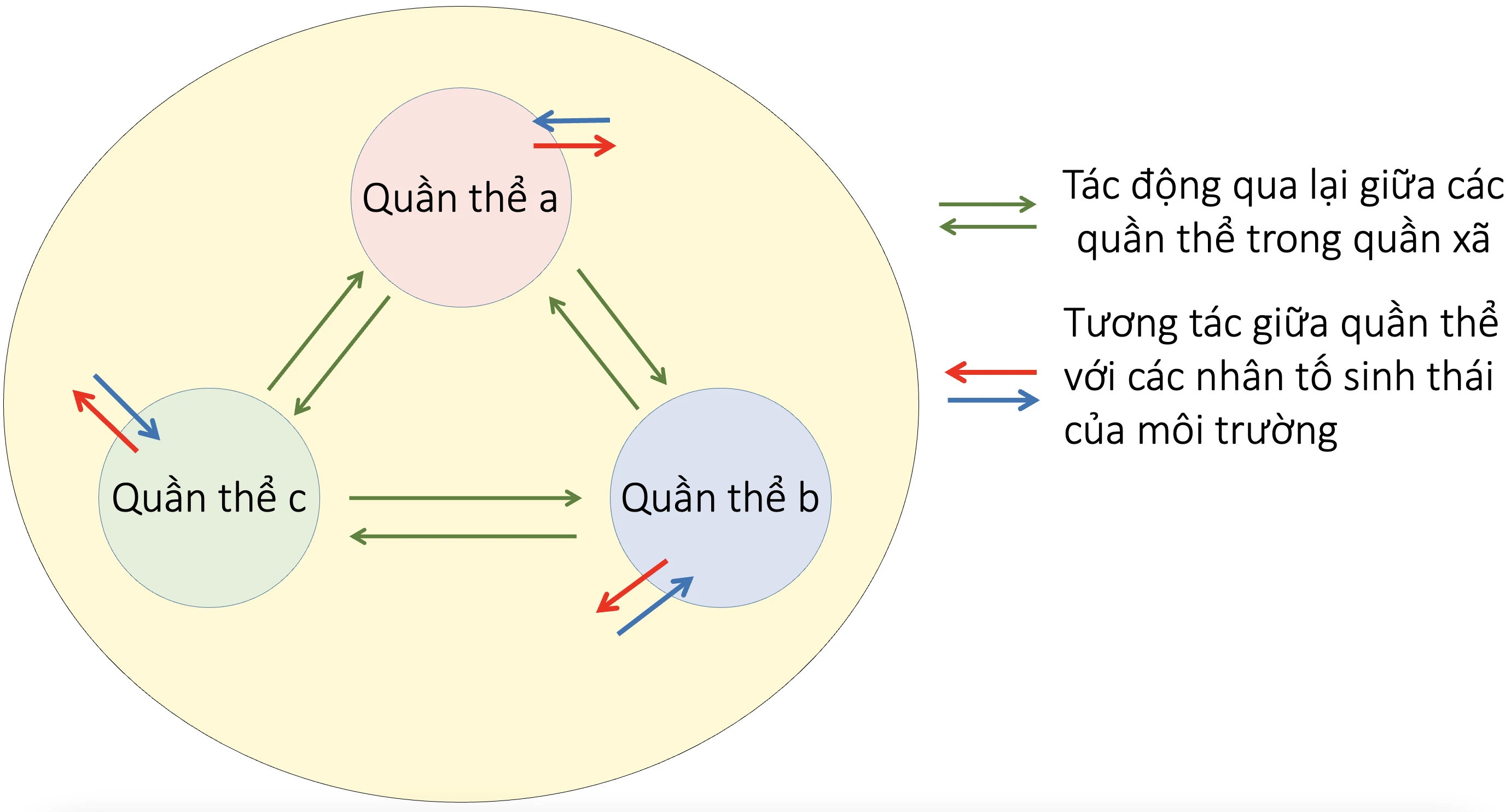 Quần xã sinh vật và một số đặc trưng cơ bản của quần xã - Sinh học 12