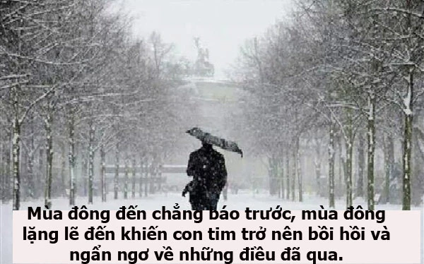 Những câu nói hay về mùa đông, cap về mùa đông, stt hay và ý nghĩa cho mùa đông