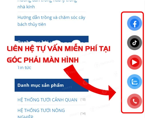 Những loại cây trồng trong nhà kính phù hợp cho mùa đông