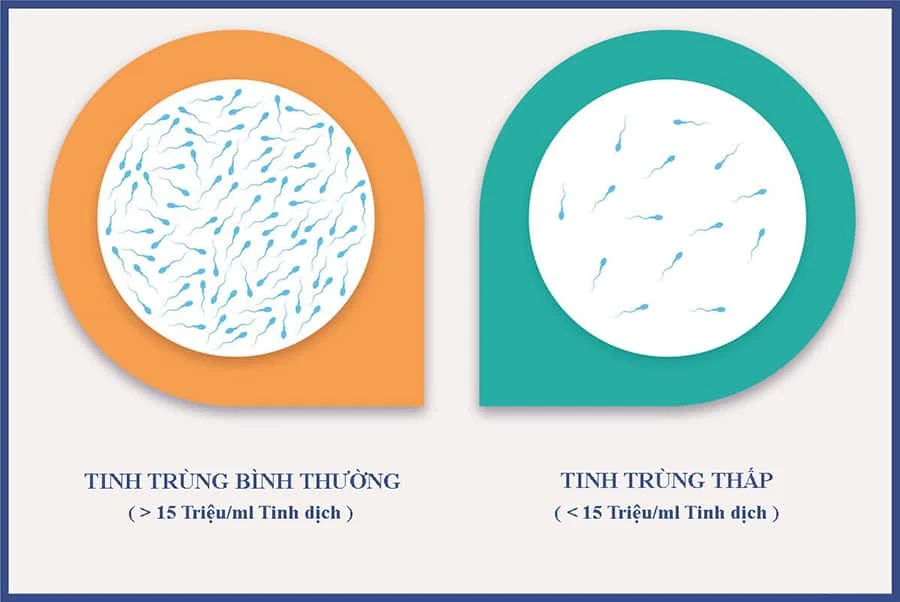 Quan hệ xong tinh trùng chảy ra ngoài có thai được không?