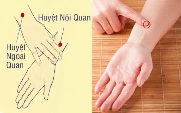 Tìm hiểu vị trí và tác dụng điều trị bệnh của huyệt nội quan bằng phương pháp bấm huyệt