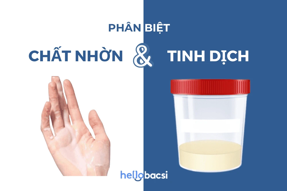 Quan hệ dính chất nhờn có thai không? Chất nhờn có tinh trùng không?