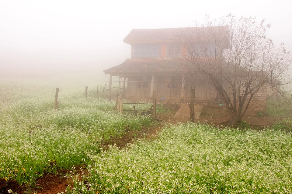 Mùa đông nên đi du lịch ở đâu