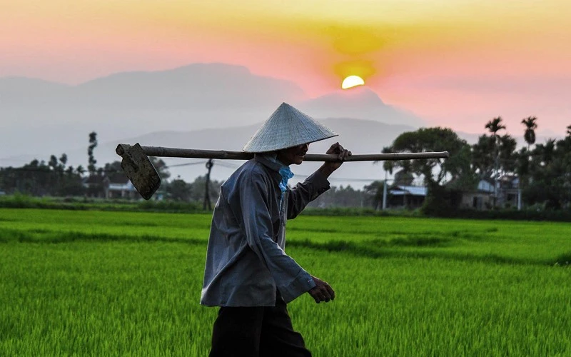 Soạn Mùa xuân nho nhỏ (Chân trời sáng tạo lớp 9 và Kết nối tri thức lớp 7)