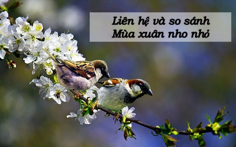 Liên hệ mở rộng, so sánh Mùa xuân nho nhỏ và Sang Thu, Viếng Lăng Bác