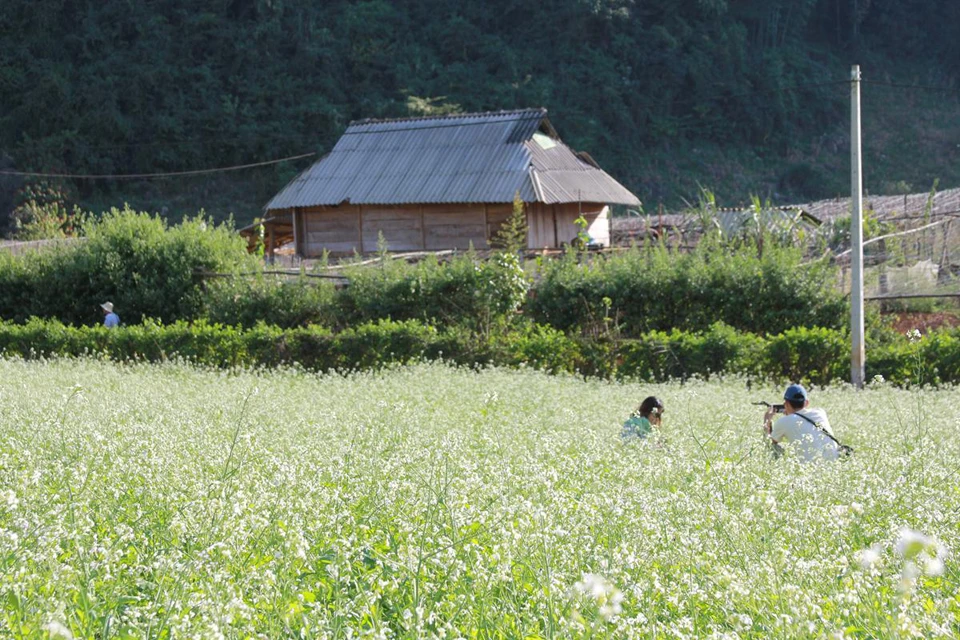 Mùa đông nên đi du lịch ở đâu