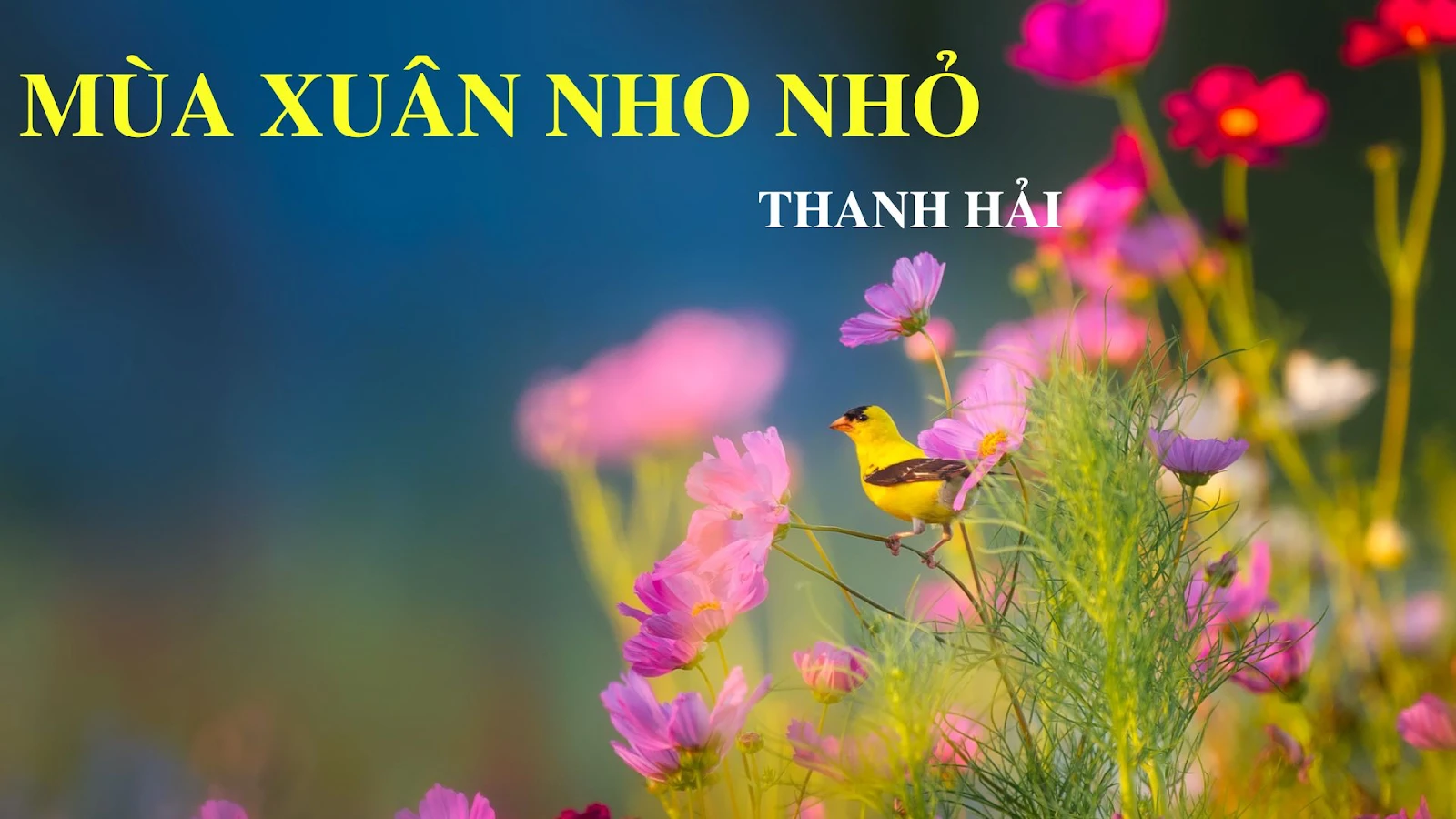 Soạn bài Mùa xuân nho nhỏ| Văn 7 tập 1 kết nối tri thức