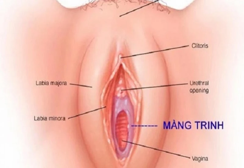 Thủ dâm có mất trinh không và những lưu ý bạn gái cần biết