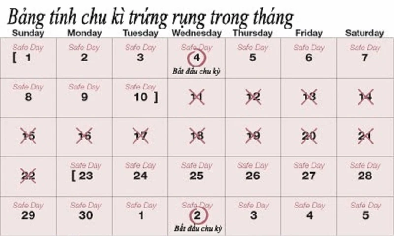 Cách thụ thai nhanh nhất cho mọi cặp vợ chồng đang mong muốn có con