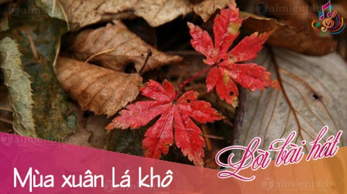 Lời bài hát Mùa xuân lá khô