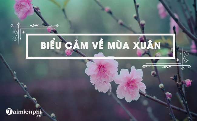 Biểu cảm về mùa xuân, top bài văn hay nhất kèm dàn ý