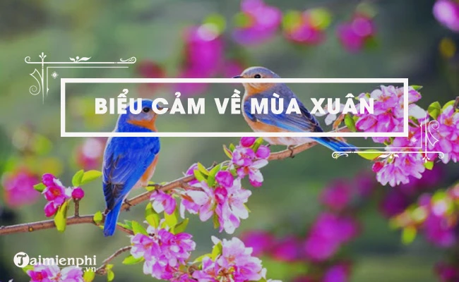 Biểu cảm về mùa xuân, top bài văn hay nhất kèm dàn ý