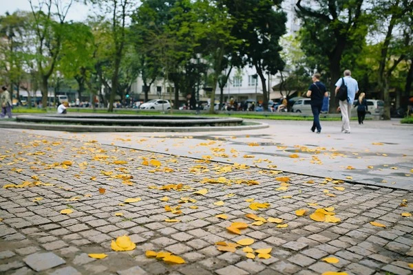 Hà Nội đẹp nao lòng những ngày thu
