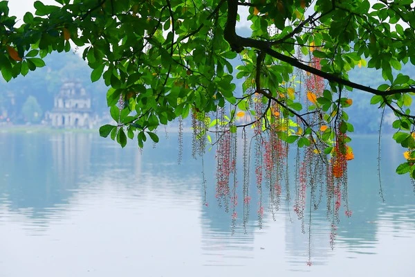 Hà Nội đẹp nao lòng những ngày thu