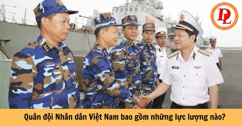 Quân đội Nhân dân Việt Nam bao gồm những lực lượng nào?