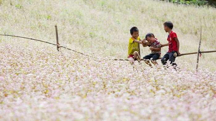 Hơn 15 bài thơ về mùa thu: Đặc sắc, lãng mạn và đầy cảm xúc