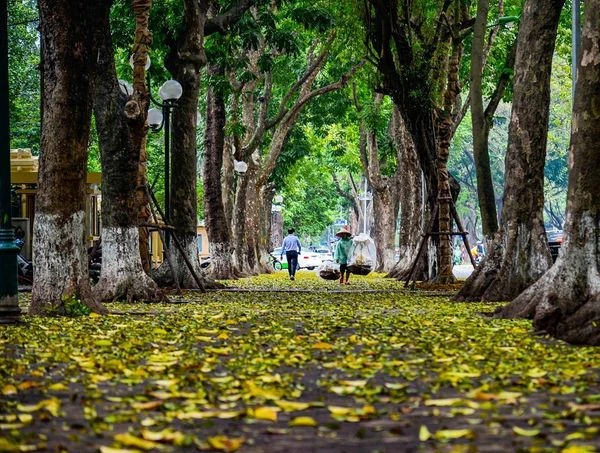 Những đặc trưng về tiết trời mùa thu Hà Nội