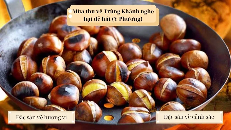 Soạn bài Mùa thu về Trùng Khánh nghe hạt dẻ hát (Y Phương)