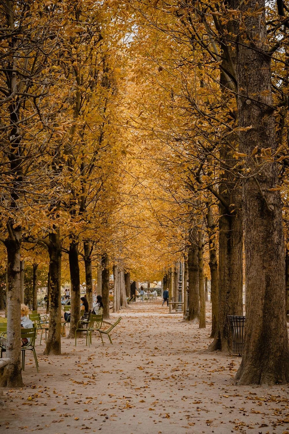 Có một Paris rất tình vào mùa thu
