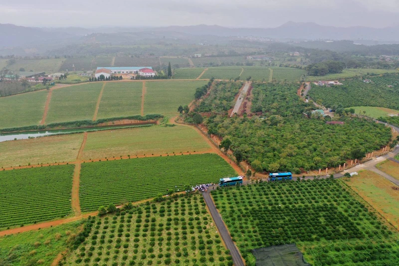 Thủ tục mua bán đất ở nông thôn mới nhất 2024
