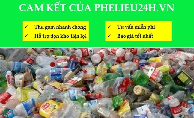 Địa chỉ thu mua ve chai Giá Cao toàn quốc