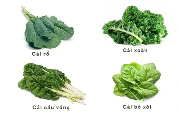 THÁNG 8 NÊN TRỒNG NHỮNG LOẠI RAU, CỦ, QUẢ NÀO ĐỂ CÓ MÙA VỤ BỘI THU?
