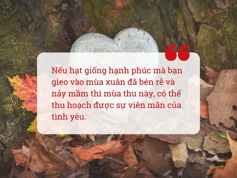 Những câu nói hay về mùa thu - mùa của hoài niệm