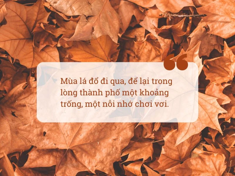 Những câu nói hay về mùa thu - mùa của hoài niệm