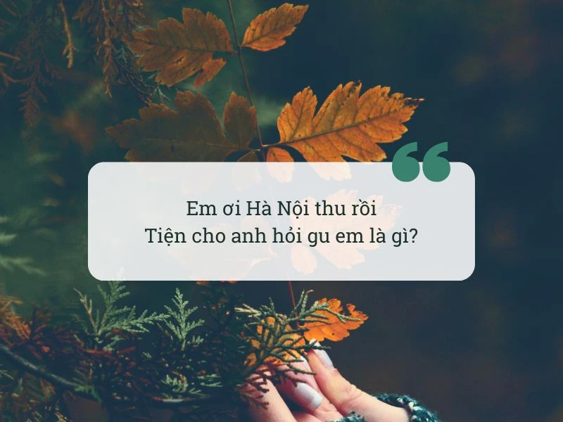 Những câu nói hay về mùa thu - mùa của hoài niệm