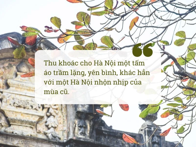 Những câu nói hay về mùa thu - mùa của hoài niệm