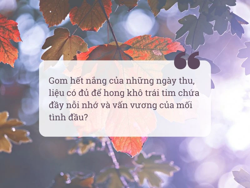 Những câu nói hay về mùa thu - mùa của hoài niệm