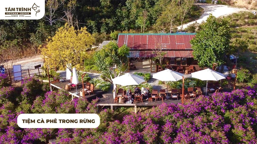 Top 10 quán cafe đẹp Trung Tâm Đà Lạt bạn không nên bỏ lỡ