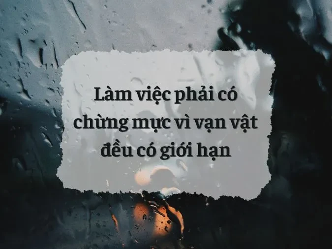 Ý nghĩa câu tục ngữ ‘Con giun xéo lắm cũng quằn’ là gì?
